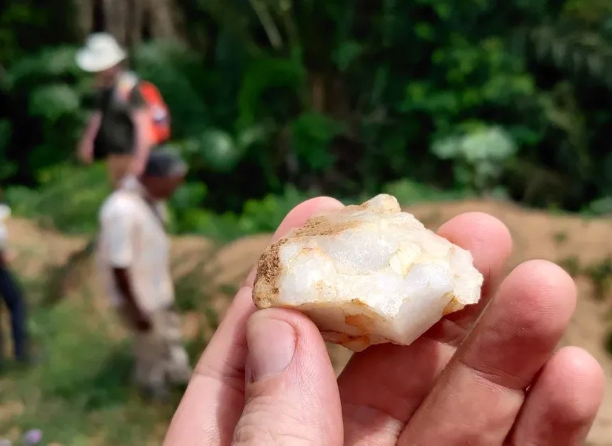 Primeiros humanos viveram em florestas tropicais há 150 mil anos, diz estudo