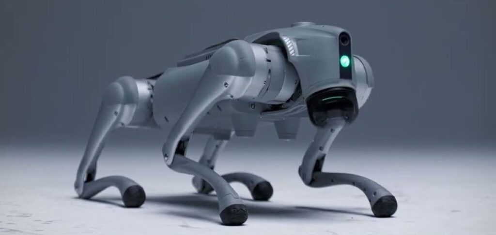 Startup apresenta cão-robô com IA que 'aprende igual aos humanos'