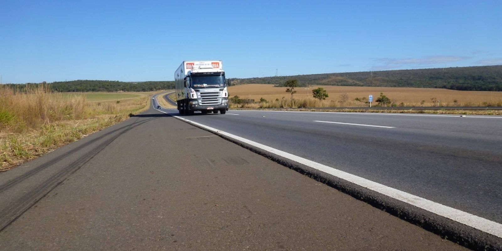 Consórcio K&G Rota da Celulose vence leilão de rodovia em MS