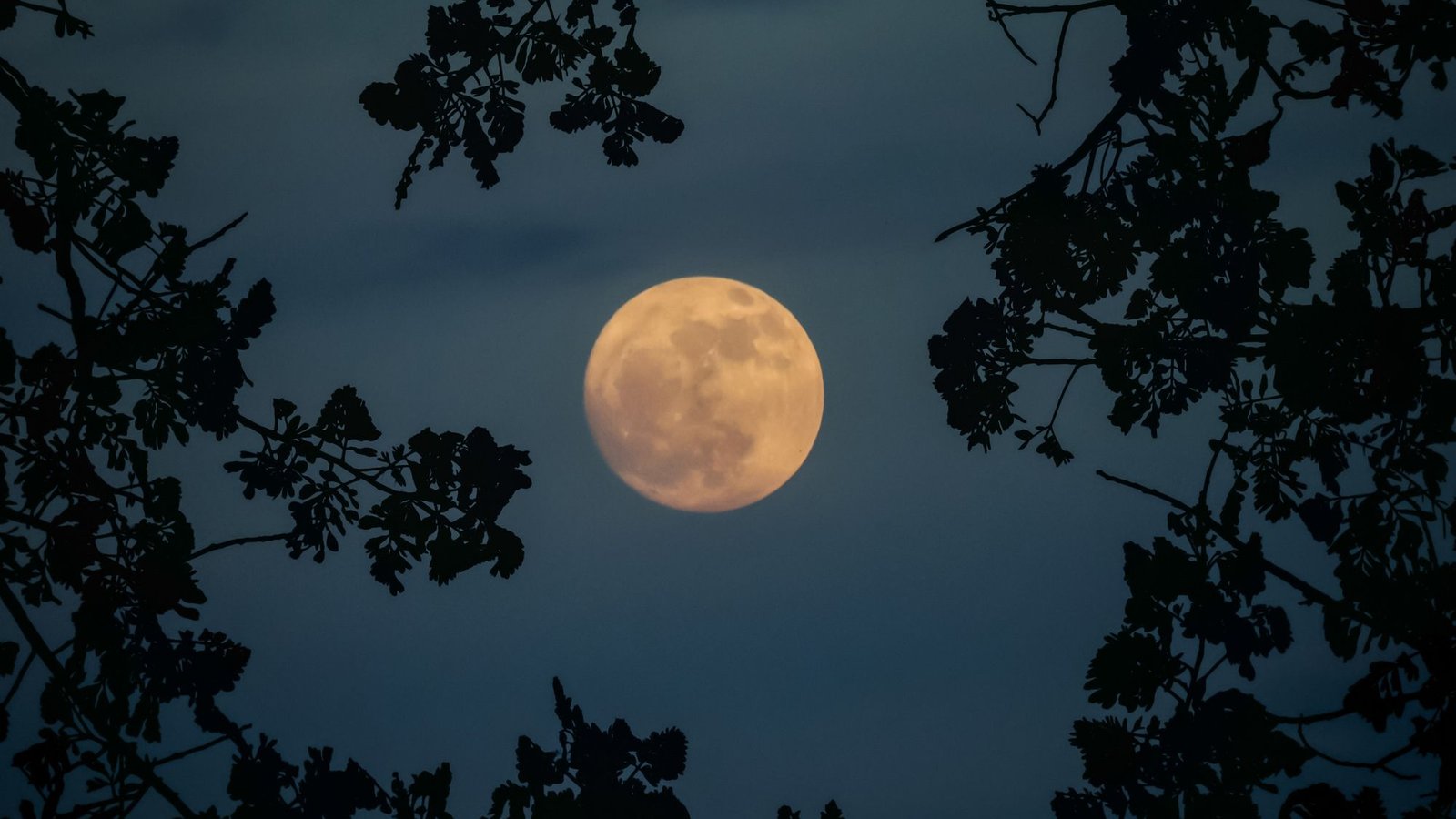 'Lua das Flores': saiba quando acontecerá e como observar a Lua cheia de maio