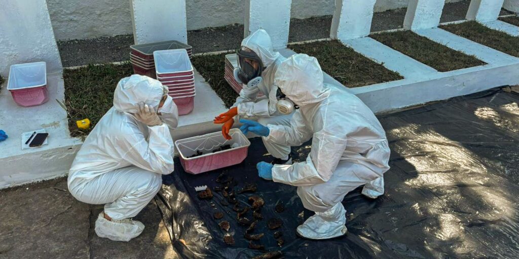 Rio: equipe encontra memorial para mortos da ditadura em deterioração
